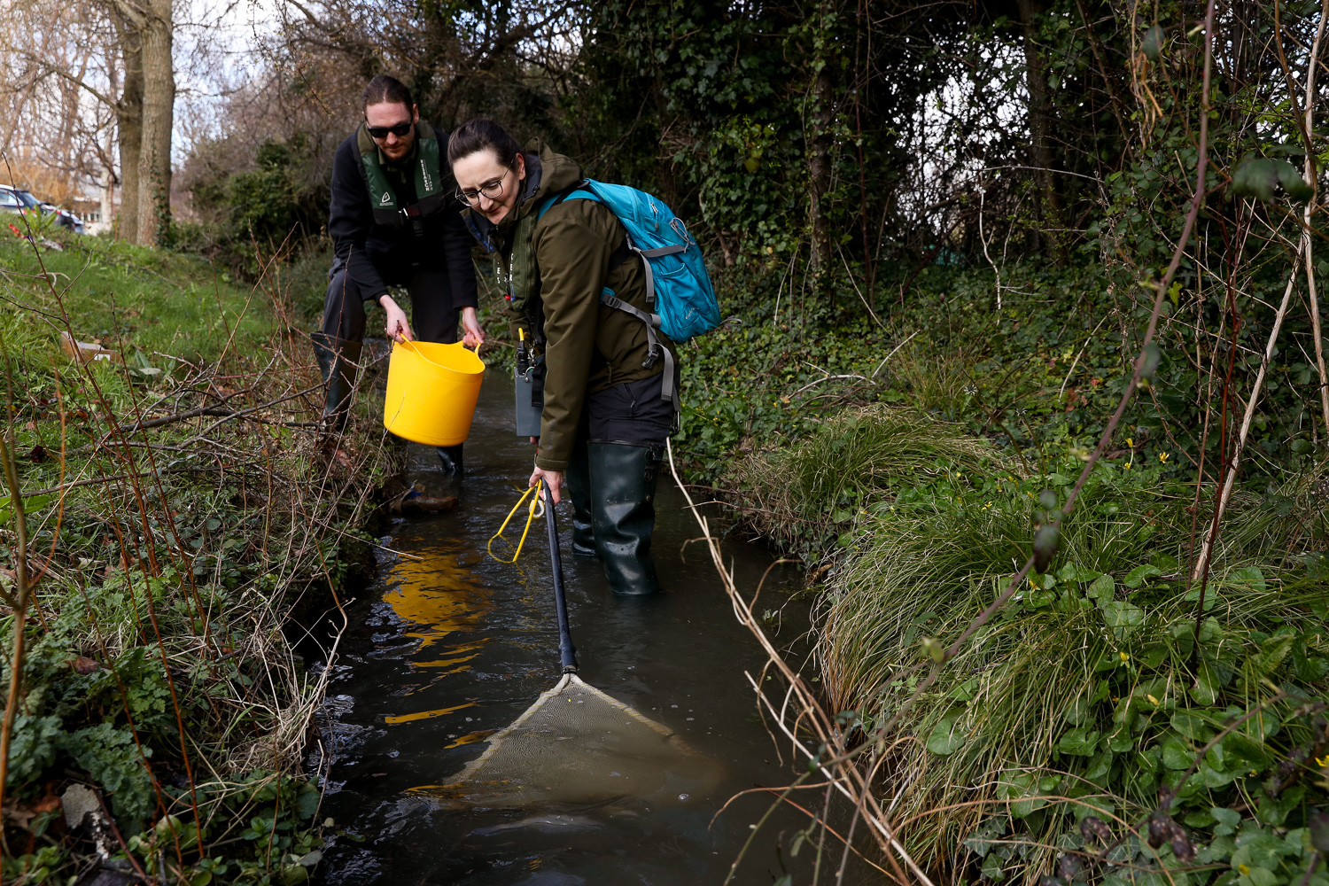 Electrofishing R&D